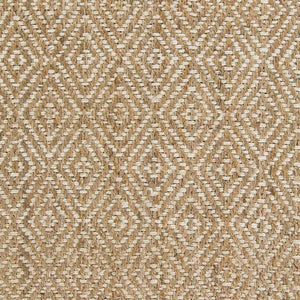 Orson Cottage Tan Area Rug