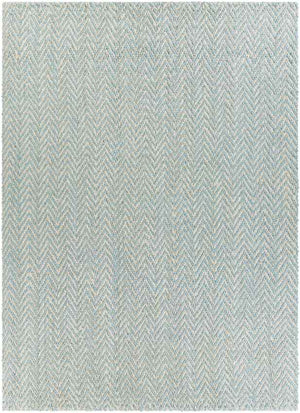 Orane Cottage Aqua Area Rug