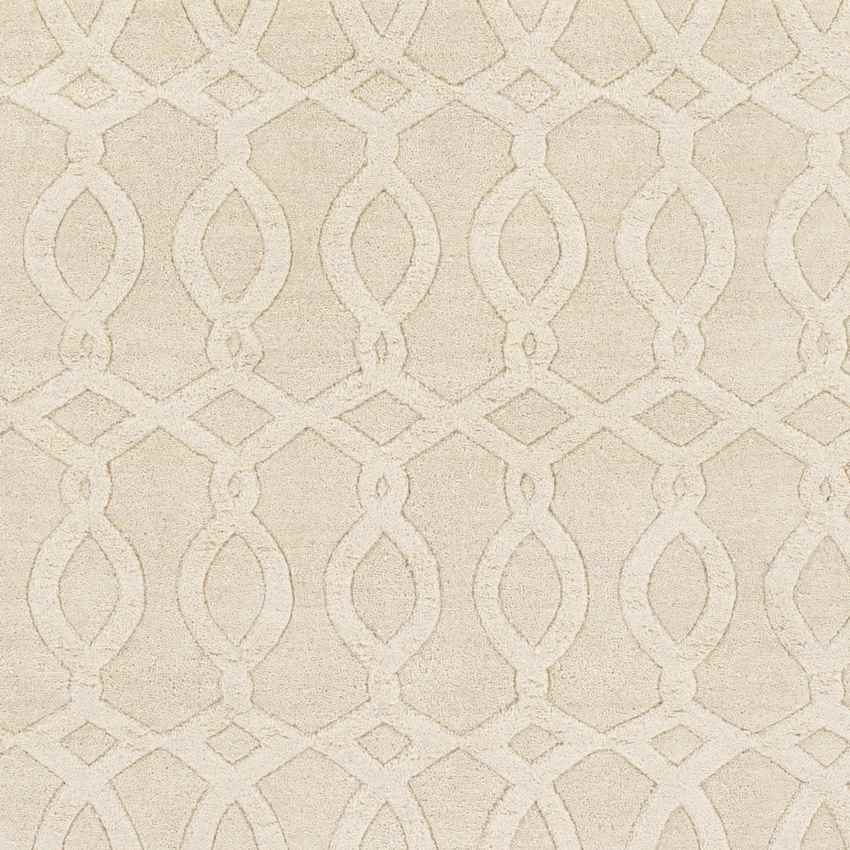 Duarte Modern Beige Area Rug