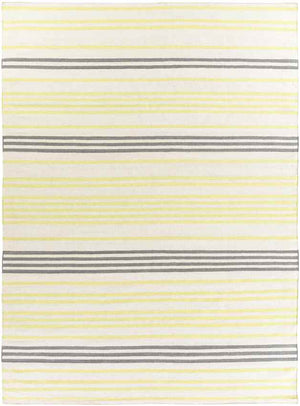 Epes Modern Lime/Gray Area Rug