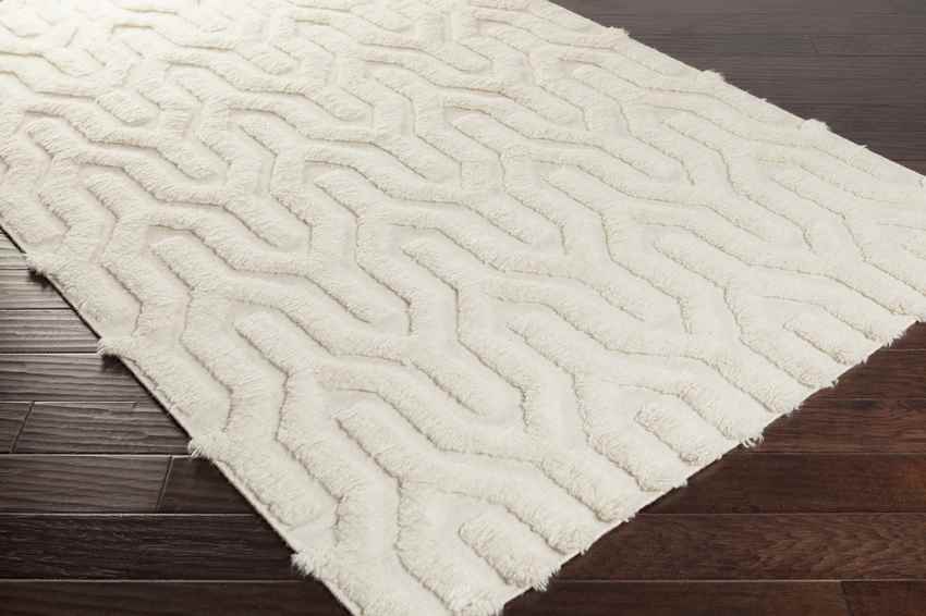 Huslia Modern Ivory Area Rug