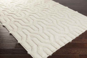 Huslia Modern Ivory Area Rug