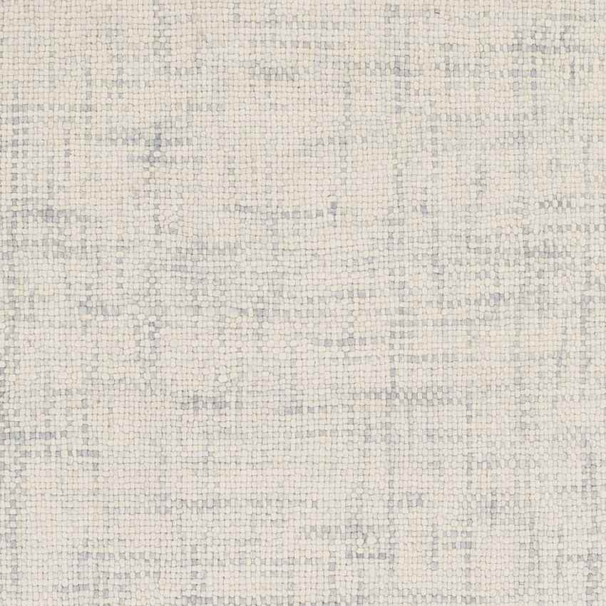 Parrish Modern Medium Gray Area Rug
