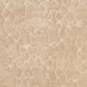 Sipsey Modern Safari Tan Area Rug