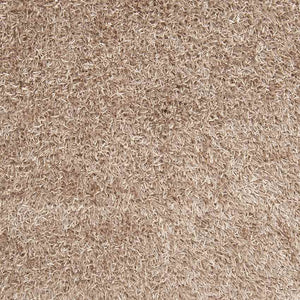 Tuscaloosa Modern Beige Area Rug