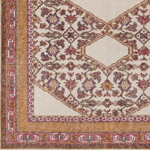Scafati Traditional Orange Area Rug