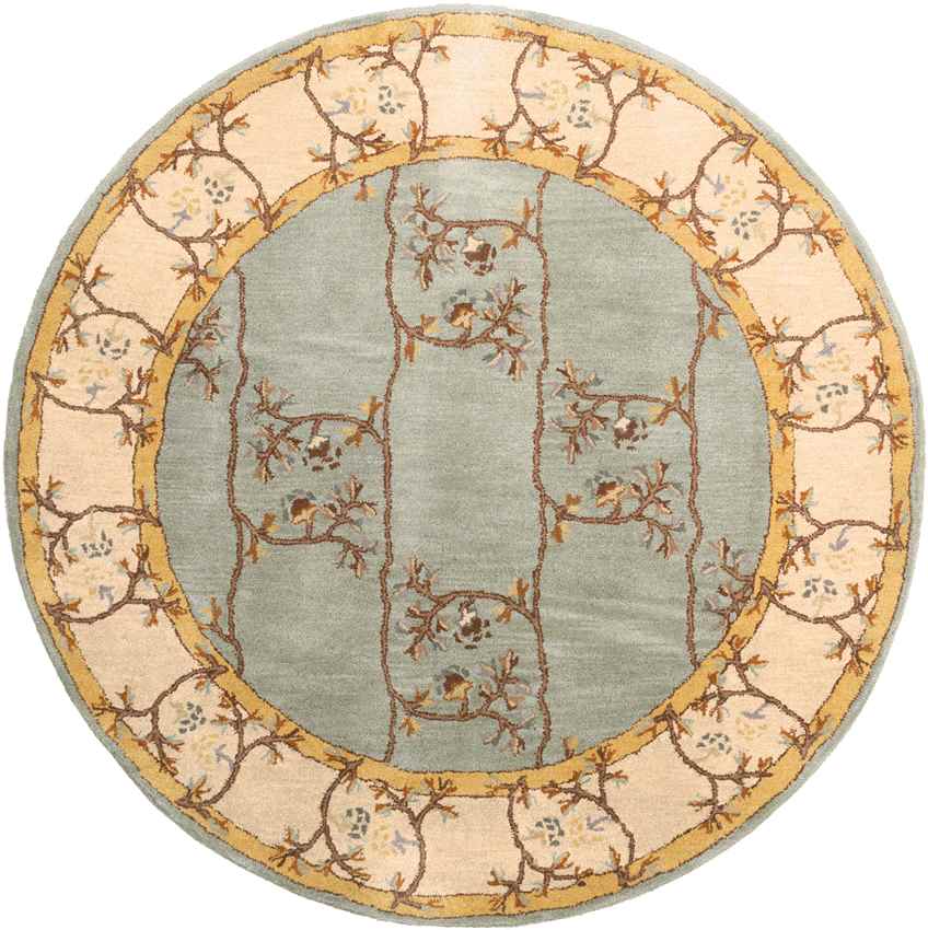 Golden Traditional Sage Area Rug