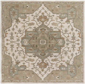 Roblin Traditional Khaki Area Rug