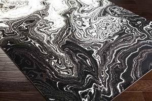 Bird Cove Modern Black Area Rug