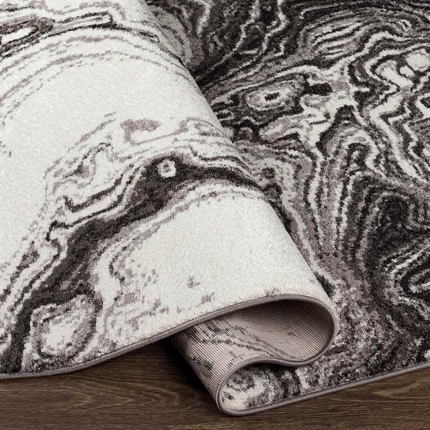 Bird Cove Modern Black Area Rug