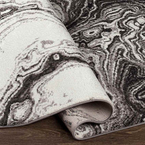 Bird Cove Modern Black Area Rug