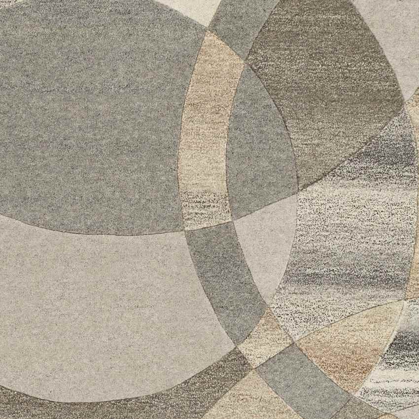 Besancon Modern Dark Brown Area Rug