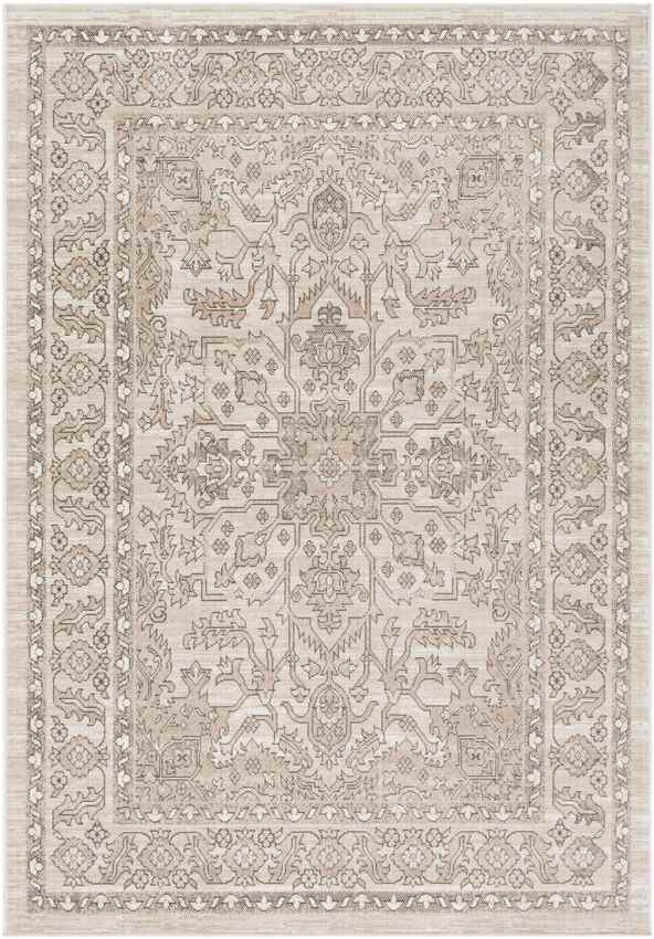 Darp Traditional Charcoal Area Rug