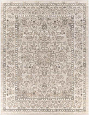 Darp Traditional Charcoal Area Rug