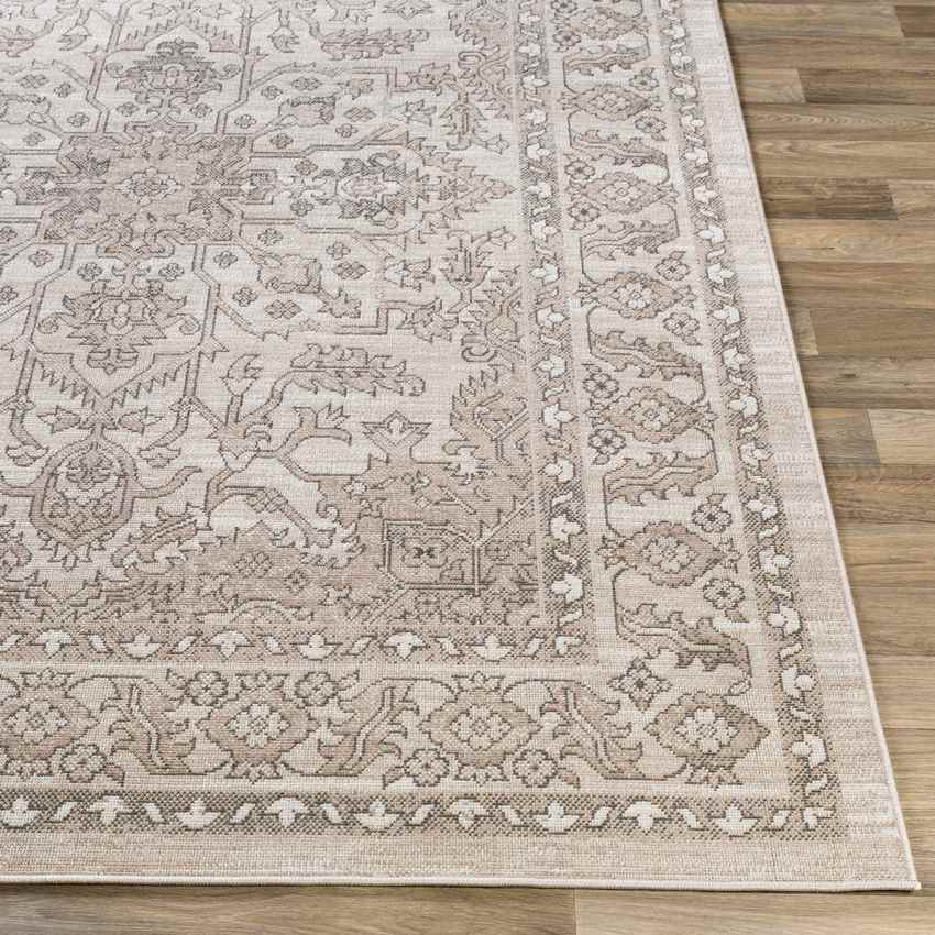 Darp Traditional Charcoal Area Rug