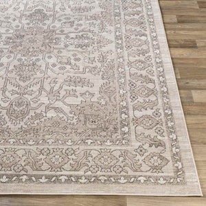 Darp Traditional Charcoal Area Rug