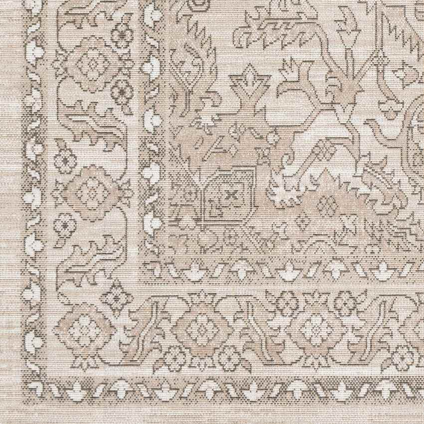 Darp Traditional Charcoal Area Rug