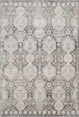 Geelbroek Traditional Black Area Rug