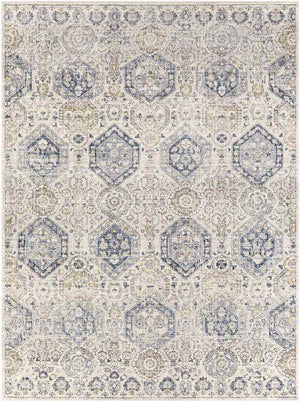 Geelbroek Traditional Bright Blue Area Rug