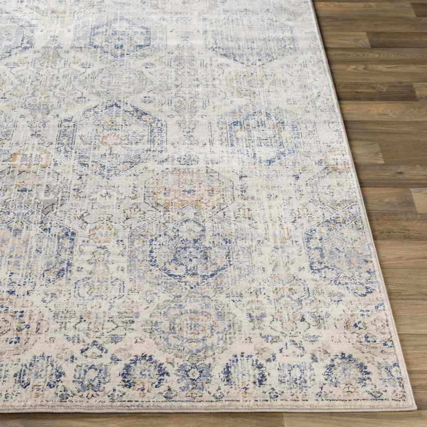 Geelbroek Traditional Bright Blue Area Rug