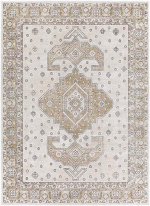 Teramo Traditional Tan Area Rug