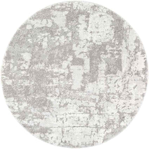 Haakswold Modern Medium Gray Area Rug