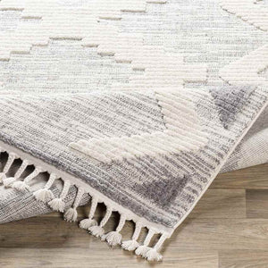 Klijndijk Global Gray/Cream Area Rug