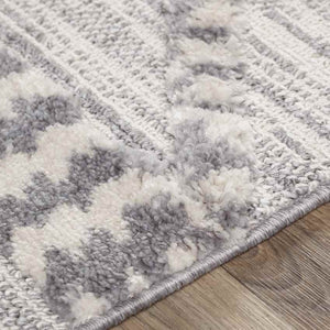Koelveen Global Medium Gray Area Rug