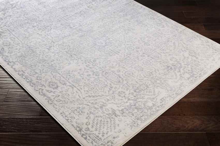 Peize Traditional Medium Gray Area Rug