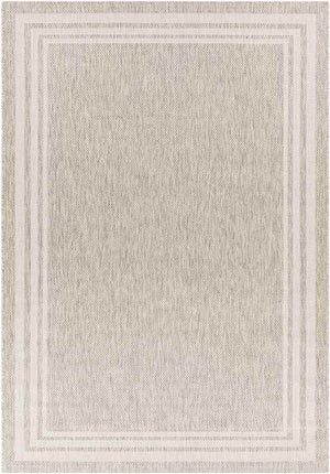 Wezep Traditional Light Gray Area Rug