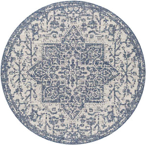 Appelscha Traditional Denim Area Rug