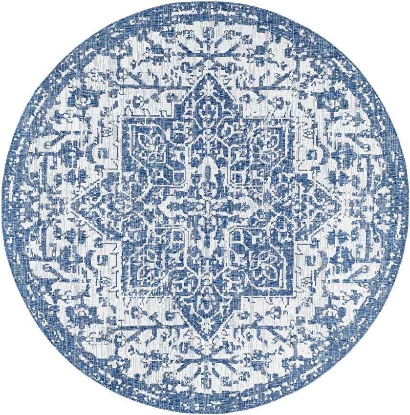 Appelscha Traditional Denim Area Rug