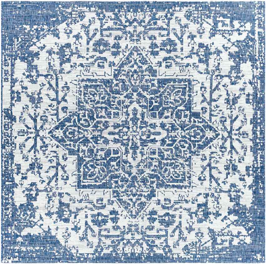 Appelscha Traditional Denim Area Rug
