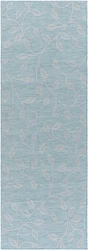 Broekhorn Traditional Aqua Area Rug