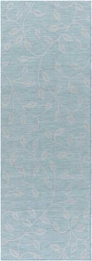 Broekhorn Traditional Aqua Area Rug