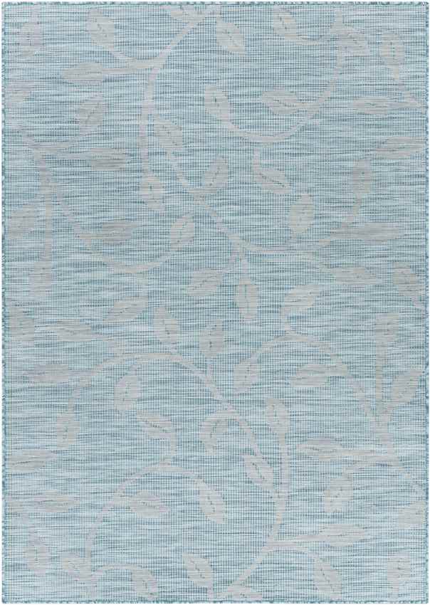 Broekhorn Traditional Aqua Area Rug
