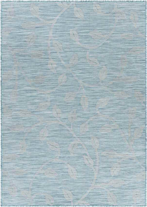 Broekhorn Traditional Aqua Area Rug
