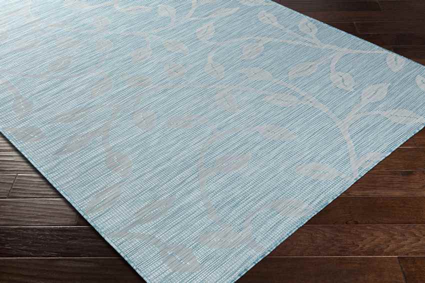 Broekhorn Traditional Aqua Area Rug