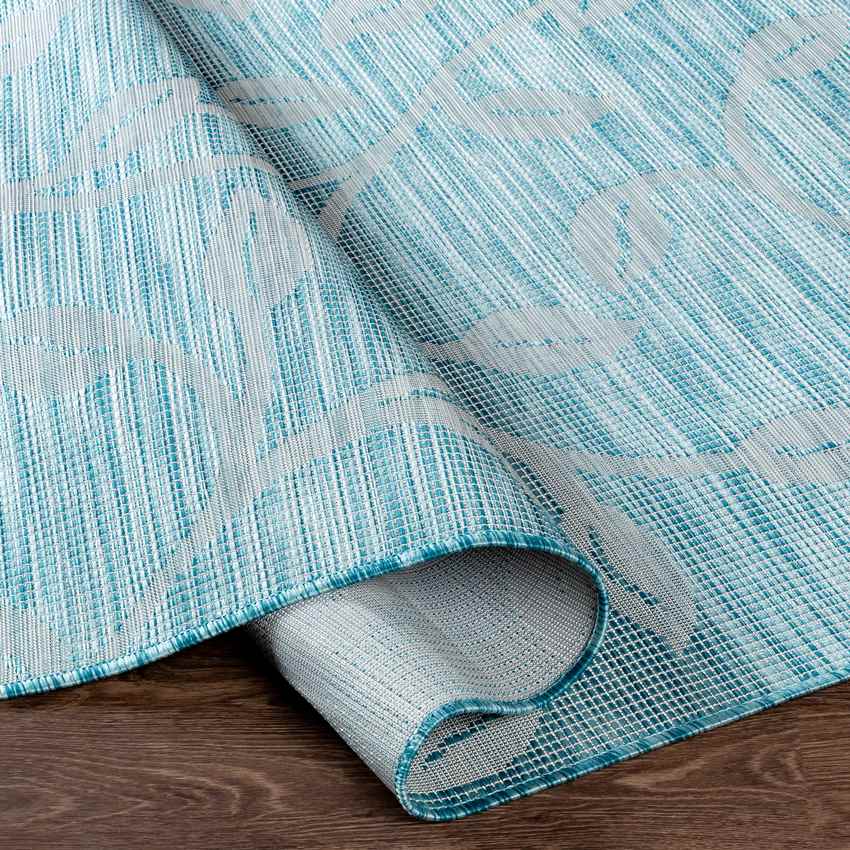 Broekhorn Traditional Aqua Area Rug
