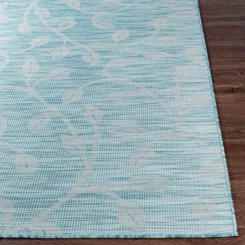 Broekhorn Traditional Aqua Area Rug