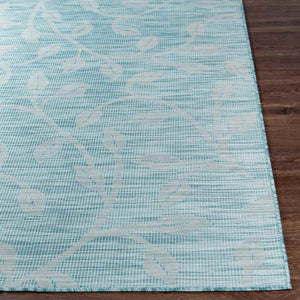 Broekhorn Traditional Aqua Area Rug