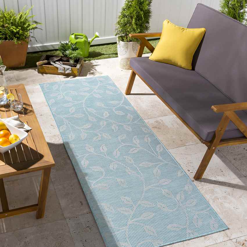 Broekhorn Traditional Aqua Area Rug