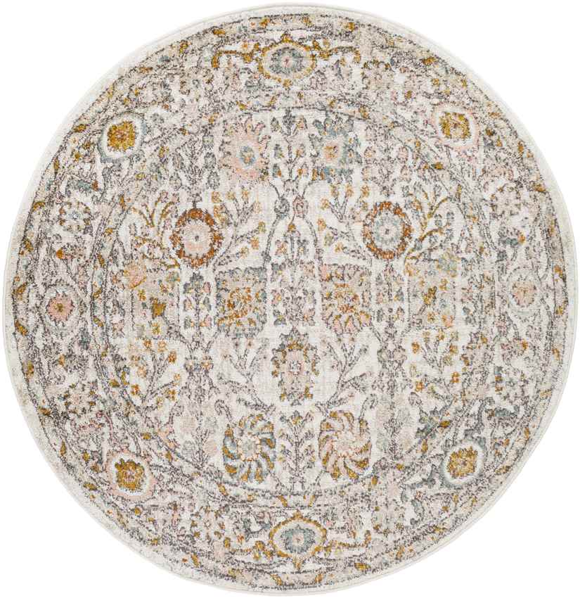 Hilversum Traditional Burnt Orange Area Rug