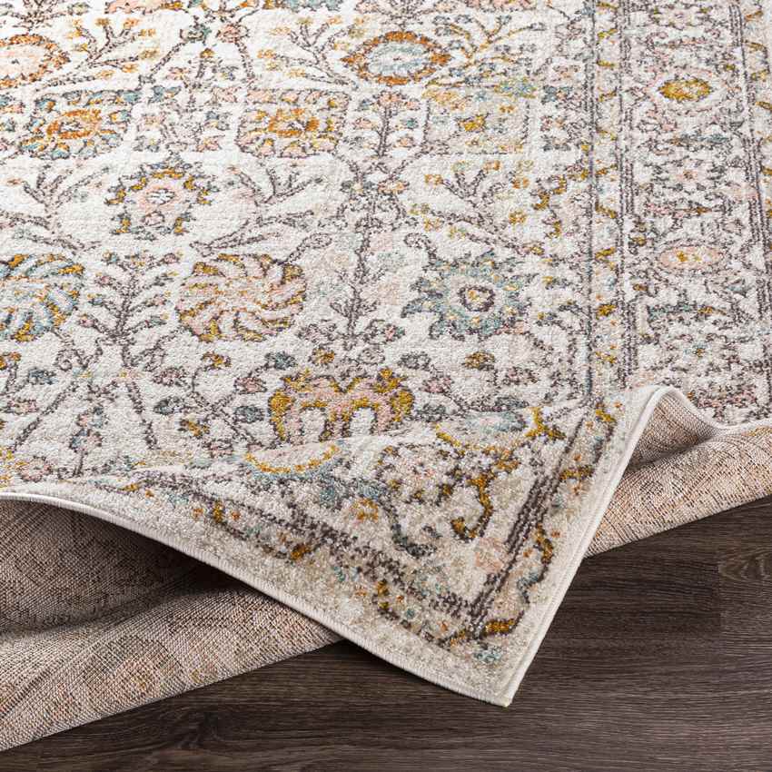Hilversum Traditional Burnt Orange Area Rug