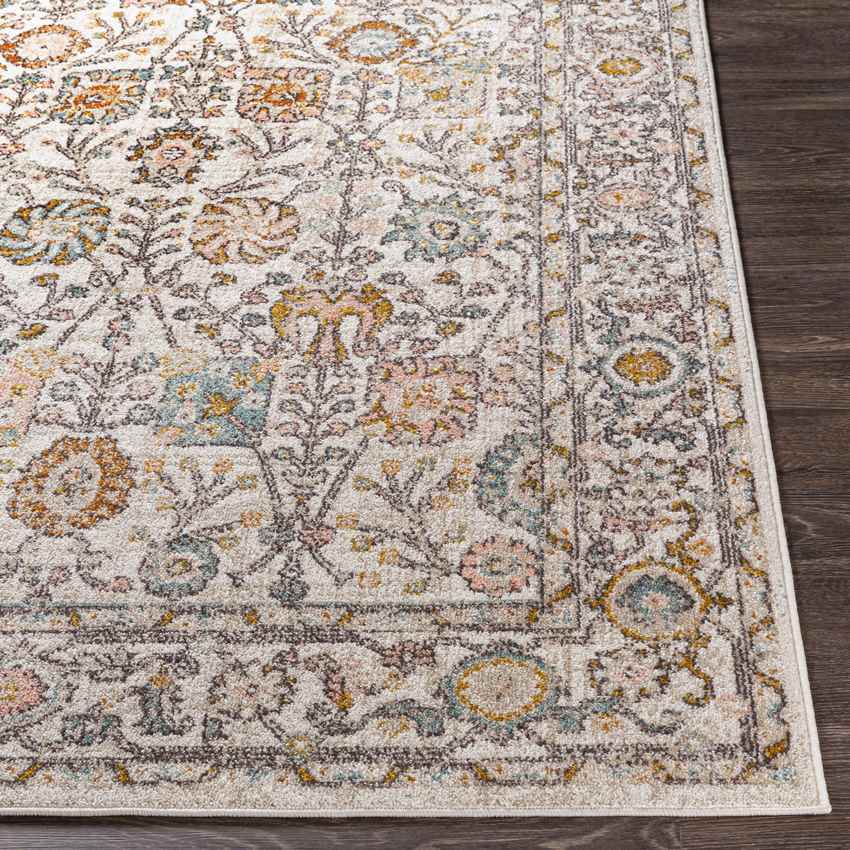 Hilversum Traditional Burnt Orange Area Rug