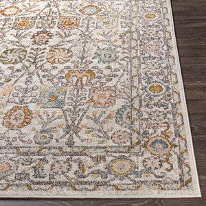 Hilversum Traditional Burnt Orange Area Rug