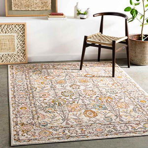 Hilversum Traditional Burnt Orange Area Rug