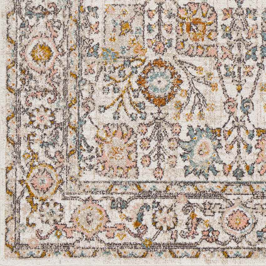 Hilversum Traditional Burnt Orange Area Rug