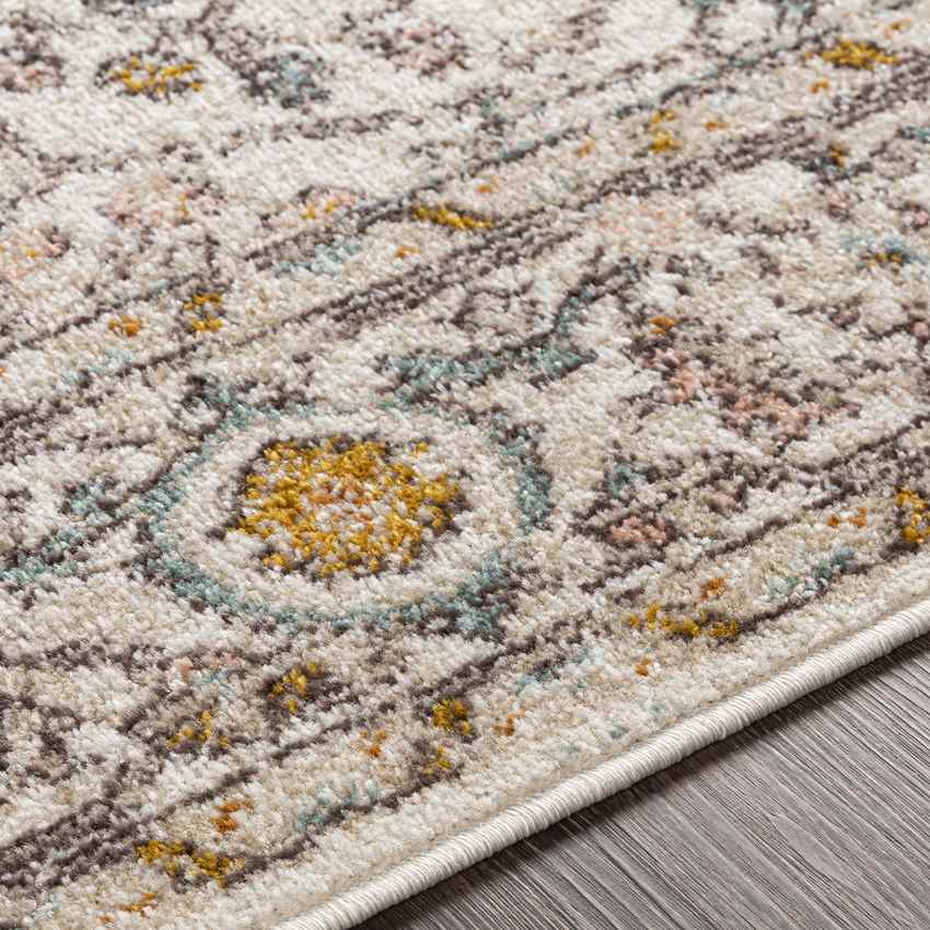 Hilversum Traditional Burnt Orange Area Rug