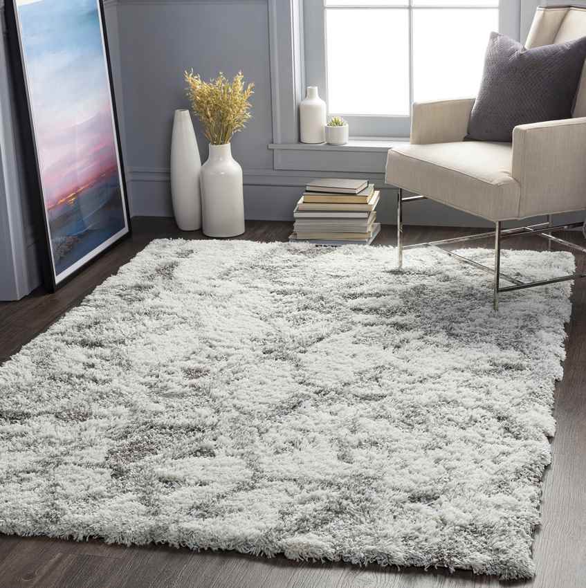 Overveen Modern Light Gray Area Rug
